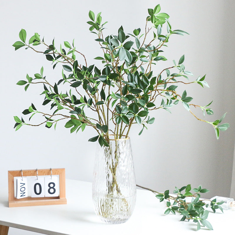 Ficus tree branch - Exhale Home