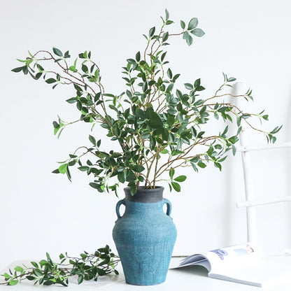Ficus tree branch - Exhale Home