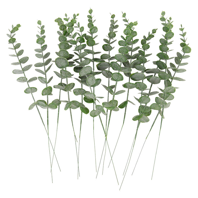 Green Plants Eucalyptus Leaves - Exhale Home